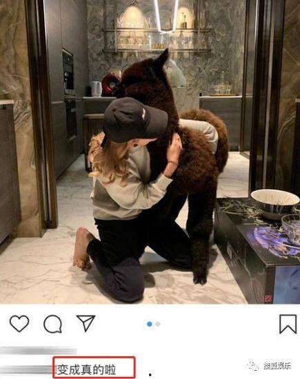 羊驼棉棉特性爆料视频,保暖舒适，环保时尚新宠  第3张